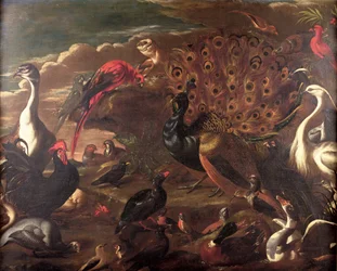 De vogels en de beesten